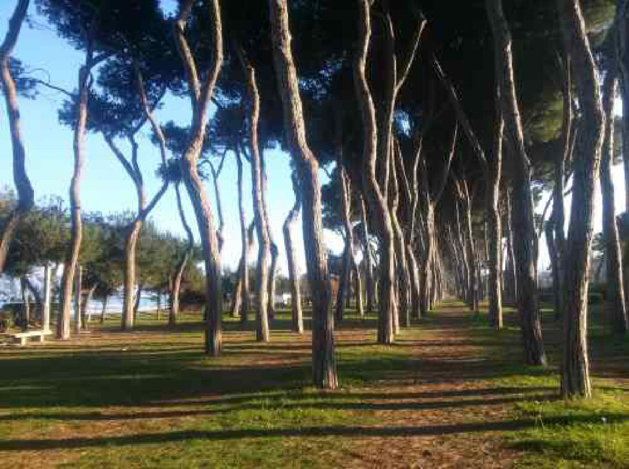 Ferienwohnung Casa Klimt Vicinissima Al Mare Parcheggio Privato Gratuito Se Disponibile Pescara Exterior foto